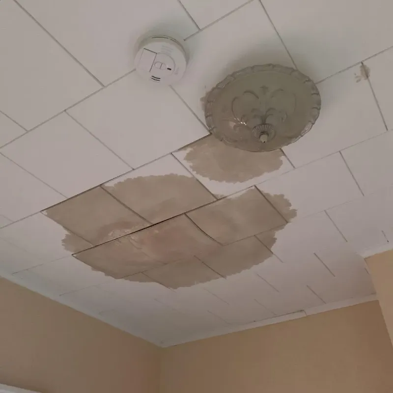 Ceiling Water Damage Repair in Lewiston, MN