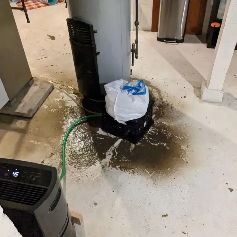 Sewage Backup Cleanup Service in Lewiston, MN